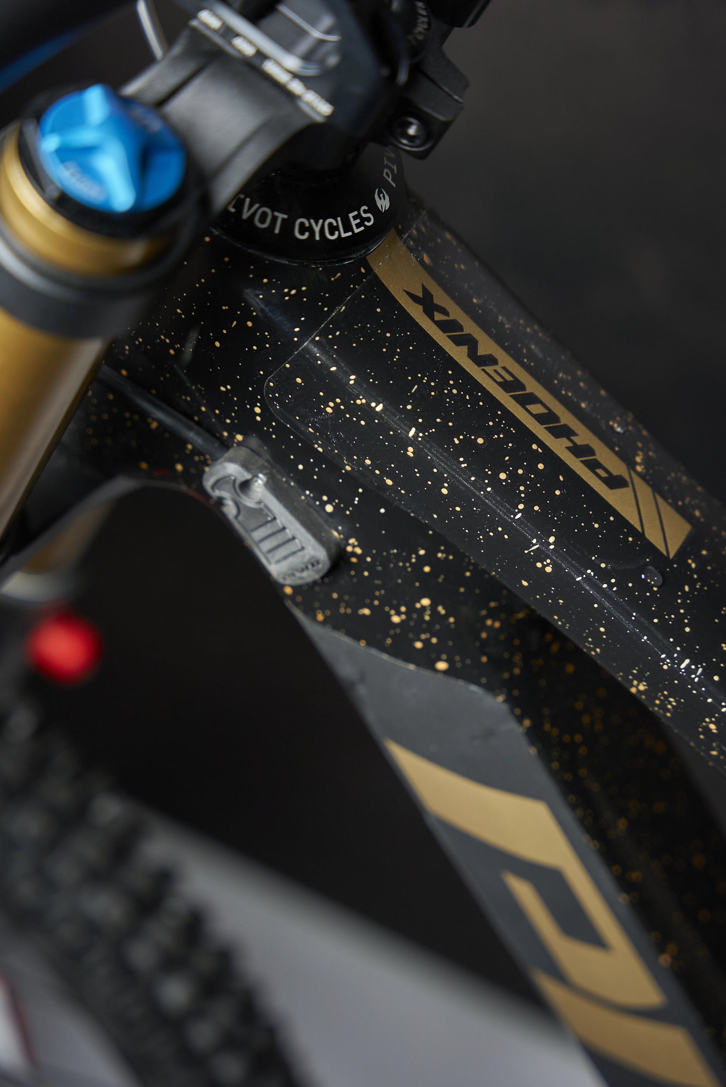 RideStyle Bulk Frame Protection Clear Glossy Film